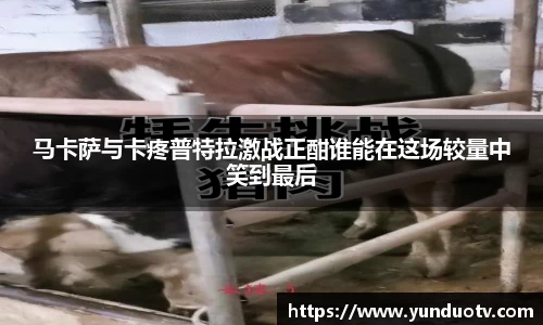 完美体育